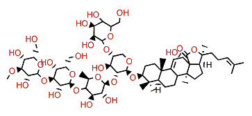 Impatienside B